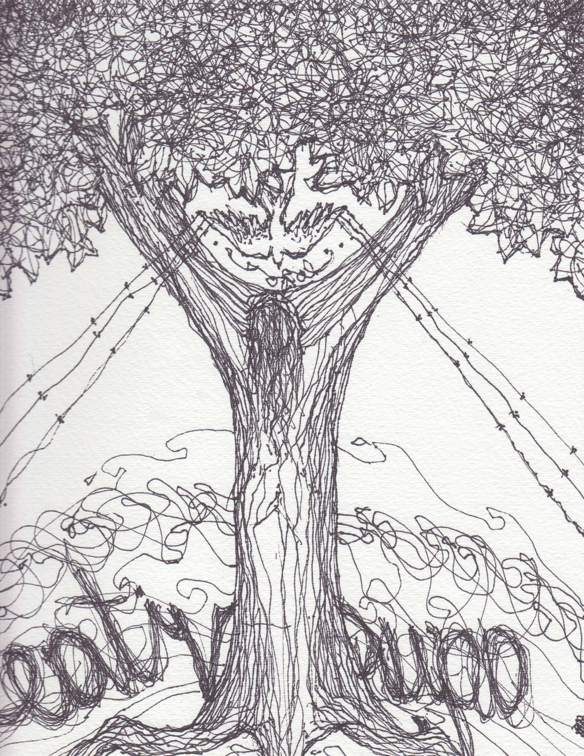 The Left Handed Drawings